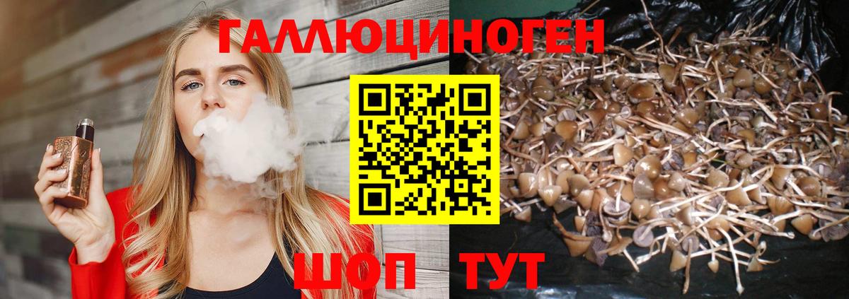Галлюциногенные грибы Magic Shrooms Тихорецк