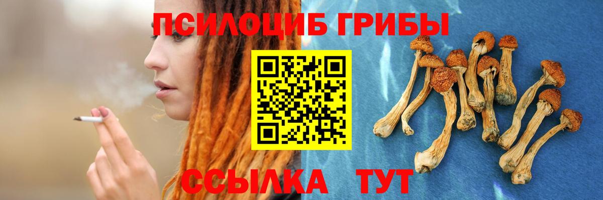 сколько стоит  Псилоцибиновые грибы мицелий  Вход с VPN  Тихорецк 